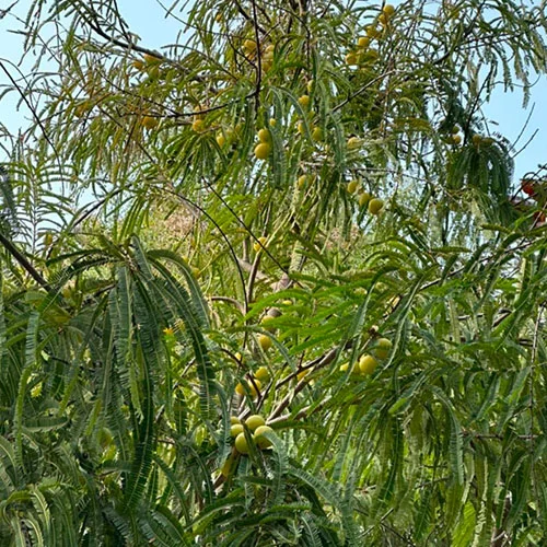 1724491500Untitled-3