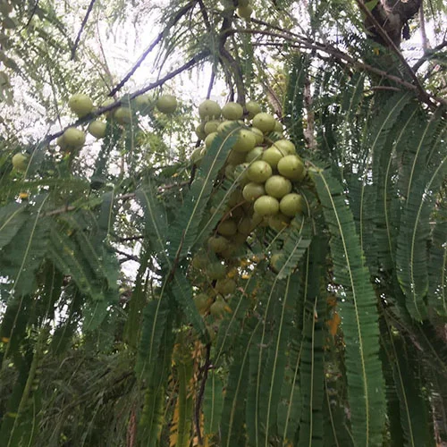 1724494378Untitled-3