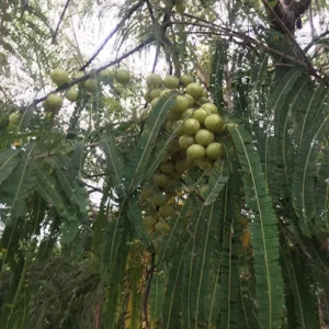 1724494378Untitled-3