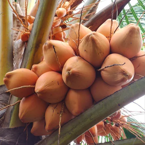 1724650001Untitled-1