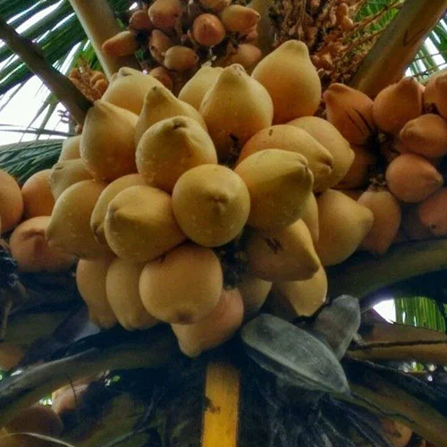 1724650909Untitled-1