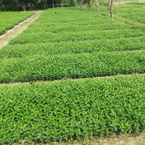 1724652118Untitled-1