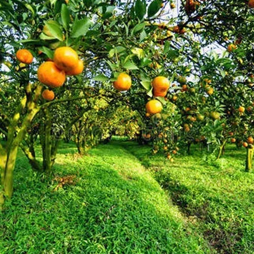 1724653373Untitled-1