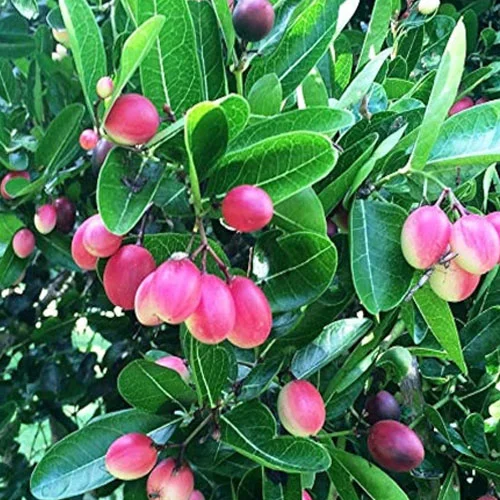 1724656933Untitled-1