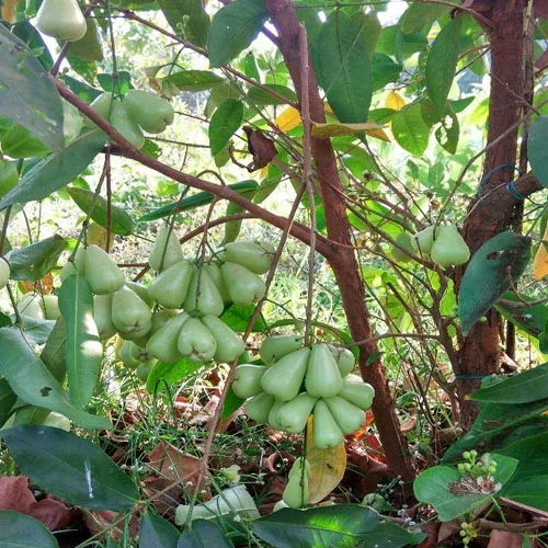 1724657544Untitled-1