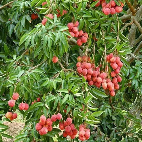 1724658321Untitled-1