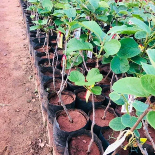 1724662343Untitled-1