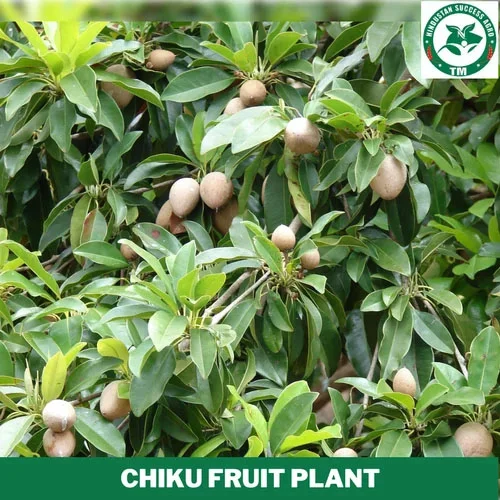 1724662836Untitled-1