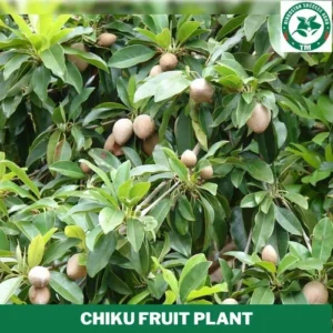 1724662836Untitled-1