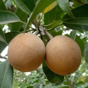 1724663003Untitled-1