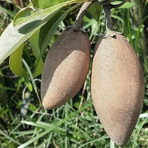 1724663205Untitled-1