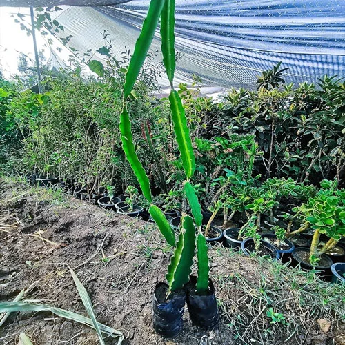 1724668069Untitled-1