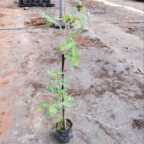 1724668504Untitled-3