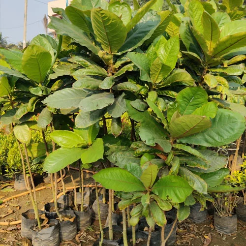 1724670604Untitled-3