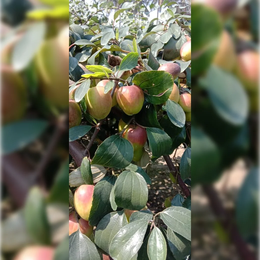 1724672379Image_Editor (17)