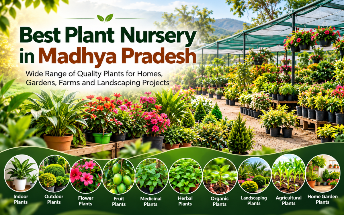 Best Plant nursery in MP