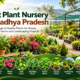 Best Plant nursery in MP